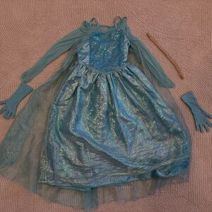 Disney Frozen Elsa Anna Princess Costume for Kids